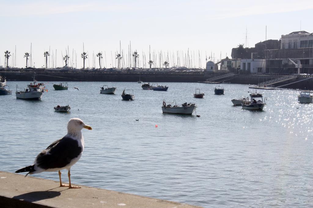 Charming Cascais Apt. ห้อง รูปภาพ
